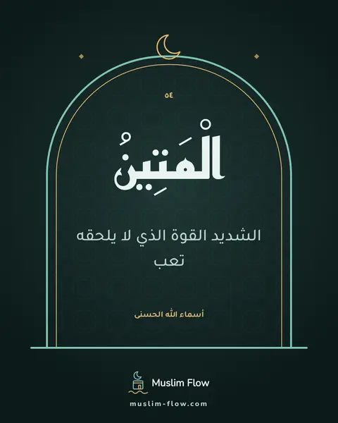 الْمَتِينُ: الشديد القوة الذي لا يلحقه تعب