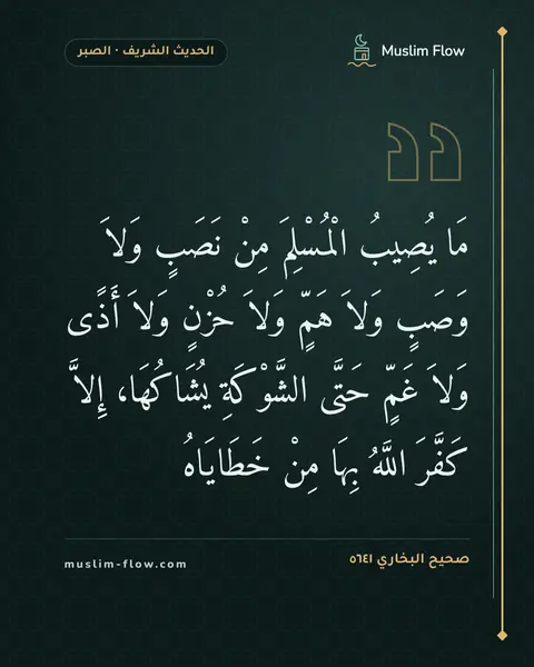 صحيح البخاري ٥٦٤١: مَا يُصِيبُ الْمُسْلِمَ مِنْ نَصَبٍ وَلاَ وَصَبٍ وَلاَ هَمٍّ وَلاَ حُزْنٍ وَلاَ أَذًى…