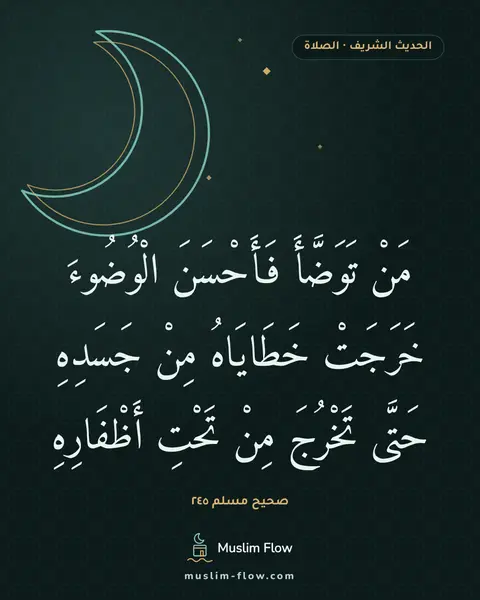 صحيح مسلم ٢٤٥: مَنْ تَوَضَّأَ فَأَحْسَنَ الْوُضُوءَ خَرَجَتْ خَطَايَاهُ مِنْ جَسَدِهِ حَتَّى تَخْرُجَ…