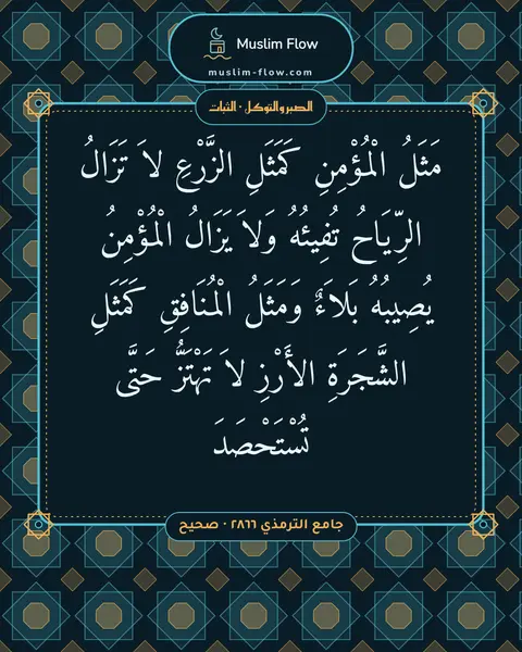 جامع الترمذي ٢٨٦٦ · صحيح: مَثَلُ الْمُؤْمِنِ كَمَثَلِ الزَّرْعِ لاَ تَزَالُ الرِّيَاحُ تُفِيئُهُ وَلاَ يَزَالُ…