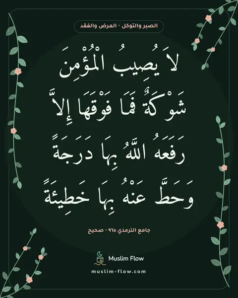 جامع الترمذي ٩٦٥ · صحيح: لاَ يُصِيبُ الْمُؤْمِنَ شَوْكَةٌ فَمَا فَوْقَهَا إِلاَّ رَفَعَهُ اللَّهُ بِهَا دَرَجَةً…