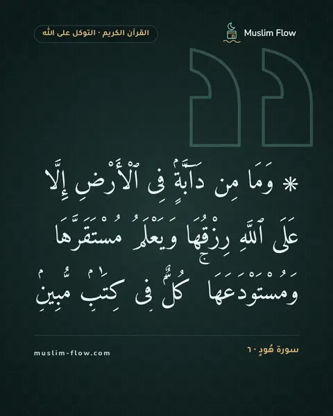 سورة هُودٍ · ٦: ۞ وَمَا مِن دَآبَّةٍۢ فِى ٱلْأَرْضِ إِلَّا عَلَى ٱللَّهِ رِزْقُهَا وَيَعْلَمُ…