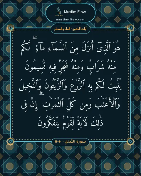 سورة النَّحۡلِ · ١٠–١١: هُوَ ٱلَّذِىٓ أَنزَلَ مِنَ ٱلسَّمَآءِ مَآءًۭ ۖ لَّكُم مِّنْهُ شَرَابٌۭ وَمِنْهُ شَجَرٌۭ…