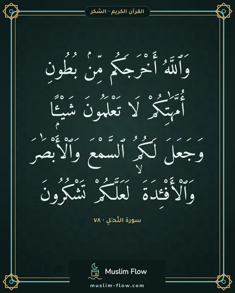 سورة النَّحۡلِ · ٧٨: وَٱللَّهُ أَخْرَجَكُم مِّنۢ بُطُونِ أُمَّهَٰتِكُمْ لَا تَعْلَمُونَ شَيْـًۭٔا وَجَعَلَ…