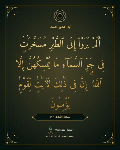 سورة النَّحۡلِ · ٧٩: أَلَمْ يَرَوْا۟ إِلَى ٱلطَّيْرِ مُسَخَّرَٰتٍۢ فِى جَوِّ ٱلسَّمَآءِ مَا يُمْسِكُهُنَّ…