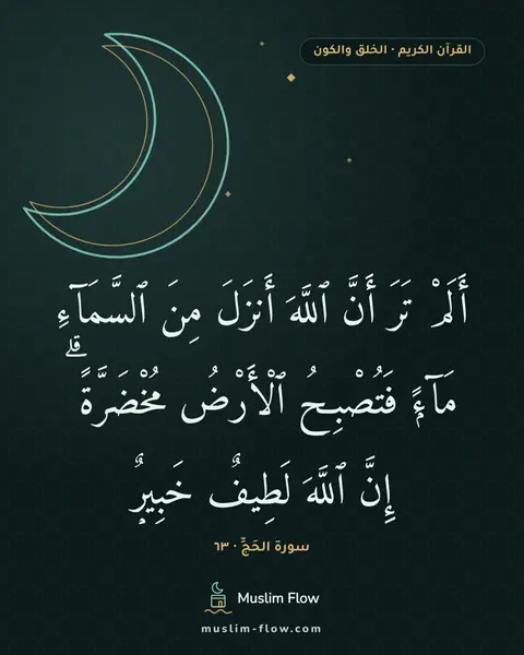سورة الحَجِّ · ٦٣: أَلَمْ تَرَ أَنَّ ٱللَّهَ أَنزَلَ مِنَ ٱلسَّمَآءِ مَآءًۭ فَتُصْبِحُ ٱلْأَرْضُ…