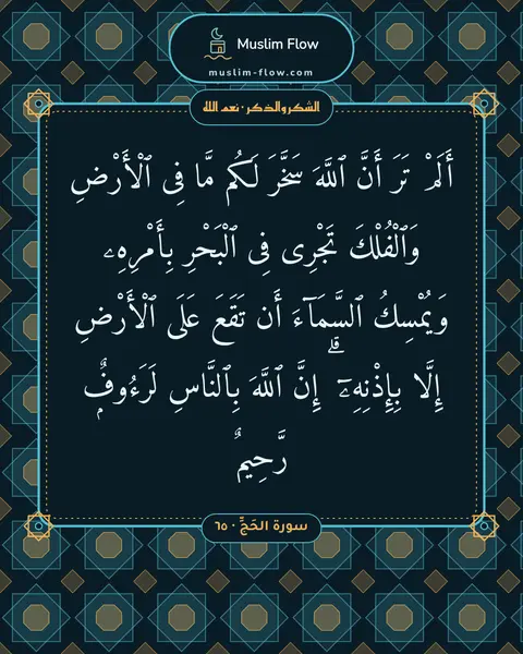 سورة الحَجِّ · ٦٥: أَلَمْ تَرَ أَنَّ ٱللَّهَ سَخَّرَ لَكُم مَّا فِى ٱلْأَرْضِ وَٱلْفُلْكَ تَجْرِى فِى…