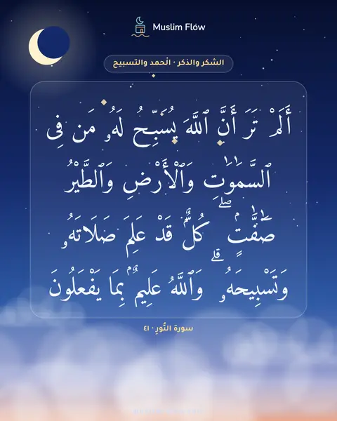 سورة النُّورِ · ٤١: أَلَمْ تَرَ أَنَّ ٱللَّهَ يُسَبِّحُ لَهُۥ مَن فِى ٱلسَّمَٰوَٰتِ وَٱلْأَرْضِ وَٱلطَّيْرُ…