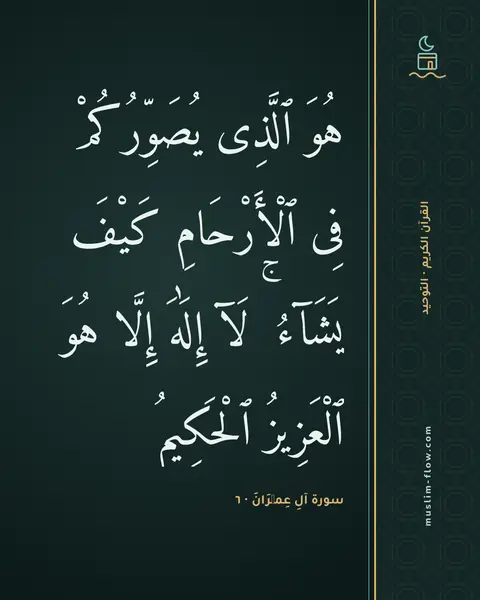 سورة آلِ عِمۡرَانَ · ٦: هُوَ ٱلَّذِى يُصَوِّرُكُمْ فِى ٱلْأَرْحَامِ كَيْفَ يَشَآءُ ۚ لَآ إِلَٰهَ إِلَّا هُوَ…
