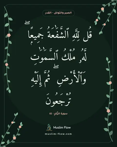 سورة الزُّمَرِ · ٤٤: قُل لِّلَّهِ ٱلشَّفَٰعَةُ جَمِيعًۭا ۖ لَّهُۥ مُلْكُ ٱلسَّمَٰوَٰتِ وَٱلْأَرْضِ ۖ ثُمَّ…