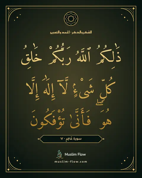 سورة غَافِرٍ · ٦٢: ذَٰلِكُمُ ٱللَّهُ رَبُّكُمْ خَٰلِقُ كُلِّ شَىْءٍۢ لَّآ إِلَٰهَ إِلَّا هُوَ ۖ فَأَنَّىٰ…