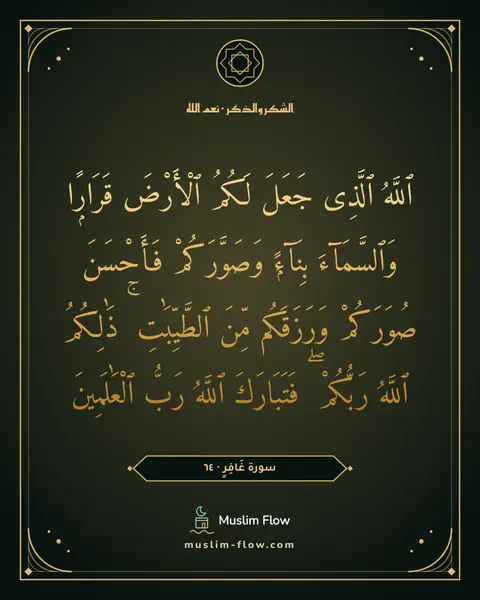 سورة غَافِرٍ · ٦٤: ٱللَّهُ ٱلَّذِى جَعَلَ لَكُمُ ٱلْأَرْضَ قَرَارًۭا وَٱلسَّمَآءَ بِنَآءًۭ وَصَوَّرَكُمْ…