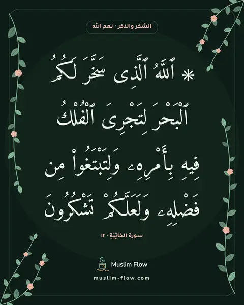 سورة الجَاثِيَةِ · ١٢: ۞ ٱللَّهُ ٱلَّذِى سَخَّرَ لَكُمُ ٱلْبَحْرَ لِتَجْرِىَ ٱلْفُلْكُ فِيهِ بِأَمْرِهِۦ…