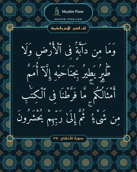 سورة الأَنۡعَامِ · ٣٨: وَمَا مِن دَآبَّةٍۢ فِى ٱلْأَرْضِ وَلَا طَٰٓئِرٍۢ يَطِيرُ بِجَنَاحَيْهِ إِلَّآ أُمَمٌ…