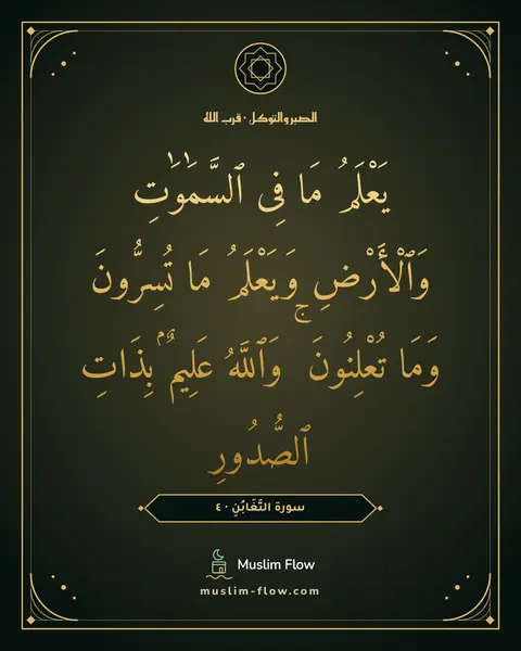 سورة التَّغَابُنِ · ٤: يَعْلَمُ مَا فِى ٱلسَّمَٰوَٰتِ وَٱلْأَرْضِ وَيَعْلَمُ مَا تُسِرُّونَ وَمَا تُعْلِنُونَ ۚ…