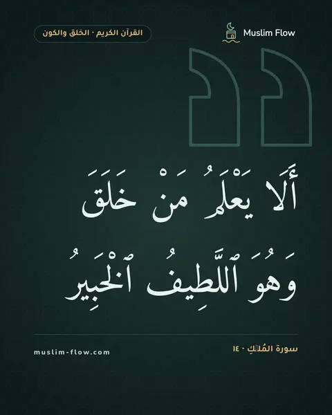 سورة المُلۡكِ · ١٤: أَلَا يَعْلَمُ مَنْ خَلَقَ وَهُوَ ٱللَّطِيفُ ٱلْخَبِيرُ