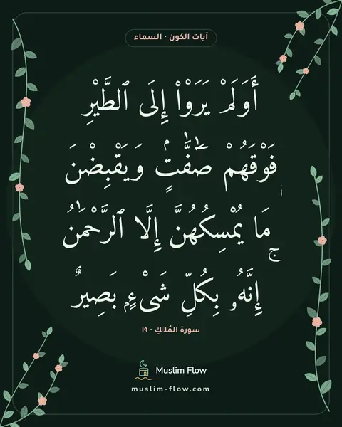 سورة المُلۡكِ · ١٩: أَوَلَمْ يَرَوْا۟ إِلَى ٱلطَّيْرِ فَوْقَهُمْ صَٰٓفَّٰتٍۢ وَيَقْبِضْنَ ۚ مَا يُمْسِكُهُنَّ…