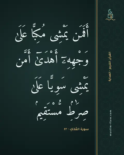 سورة المُلۡكِ · ٢٢: أَفَمَن يَمْشِى مُكِبًّا عَلَىٰ وَجْهِهِۦٓ أَهْدَىٰٓ أَمَّن يَمْشِى سَوِيًّا عَلَىٰ…