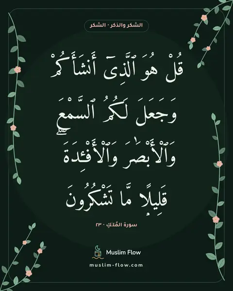 سورة المُلۡكِ · ٢٣: قُلْ هُوَ ٱلَّذِىٓ أَنشَأَكُمْ وَجَعَلَ لَكُمُ ٱلسَّمْعَ وَٱلْأَبْصَٰرَ وَٱلْأَفْـِٔدَةَ…