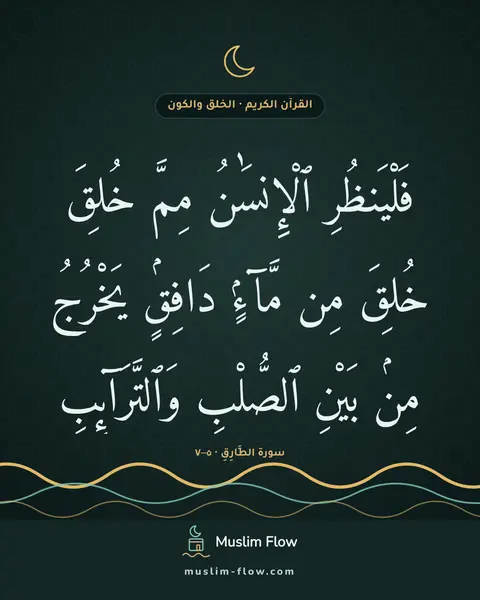 سورة الطَّارِقِ · ٥–٧: فَلْيَنظُرِ ٱلْإِنسَٰنُ مِمَّ خُلِقَ خُلِقَ مِن مَّآءٍۢ دَافِقٍۢ يَخْرُجُ مِنۢ بَيْنِ…