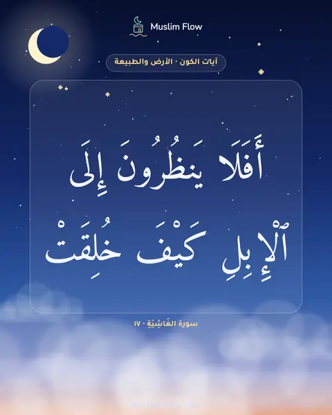 سورة الغَاشِيَةِ · ١٧: أَفَلَا يَنظُرُونَ إِلَى ٱلْإِبِلِ كَيْفَ خُلِقَتْ