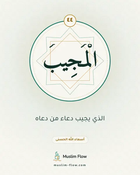 الْمُجِيبُ: الذي يجيب دعاء من دعاه