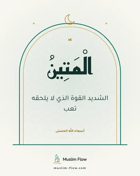 الْمَتِينُ: الشديد القوة الذي لا يلحقه تعب