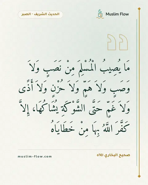 صحيح البخاري ٥٦٤١: مَا يُصِيبُ الْمُسْلِمَ مِنْ نَصَبٍ وَلاَ وَصَبٍ وَلاَ هَمٍّ وَلاَ حُزْنٍ وَلاَ أَذًى…