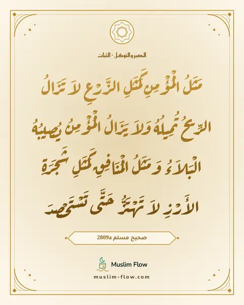صحيح مسلم 2809a: مَثَلُ الْمُؤْمِنِ كَمَثَلِ الزَّرْعِ لاَ تَزَالُ الرِّيحُ تُمِيلُهُ وَلاَ يَزَالُ…
