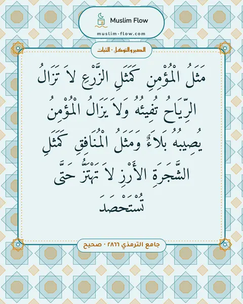 جامع الترمذي ٢٨٦٦ · صحيح: مَثَلُ الْمُؤْمِنِ كَمَثَلِ الزَّرْعِ لاَ تَزَالُ الرِّيَاحُ تُفِيئُهُ وَلاَ يَزَالُ…