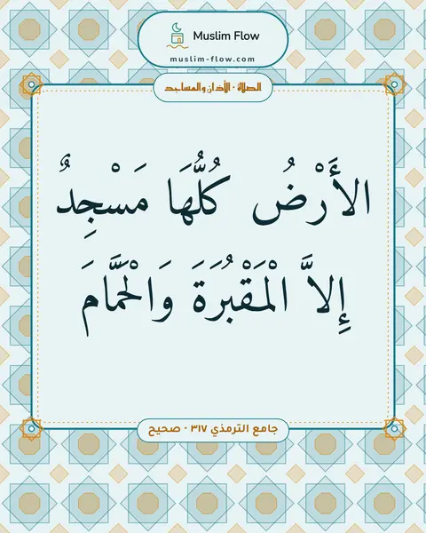 جامع الترمذي ٣١٧ · صحيح: الأَرْضُ كُلُّهَا مَسْجِدٌ إِلاَّ الْمَقْبُرَةَ وَالْحَمَّامَ