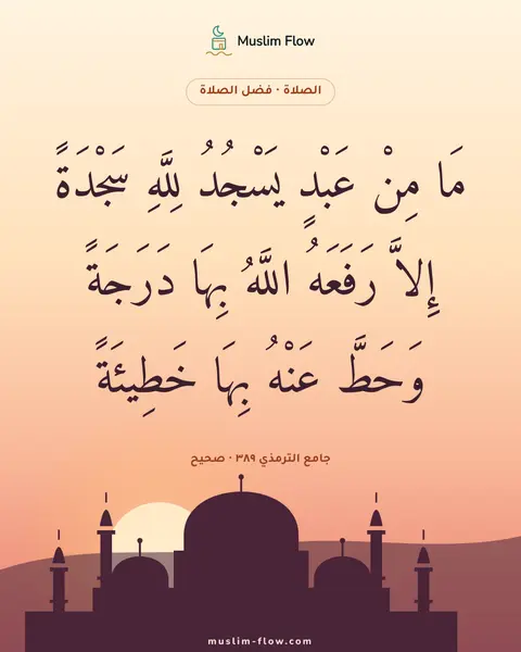جامع الترمذي ٣٨٩ · صحيح: مَا مِنْ عَبْدٍ يَسْجُدُ لِلَّهِ سَجْدَةً إِلاَّ رَفَعَهُ اللَّهُ بِهَا دَرَجَةً وَحَطَّ…