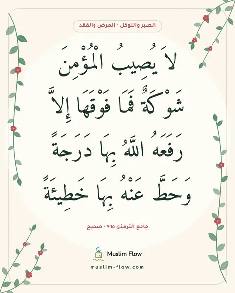 جامع الترمذي ٩٦٥ · صحيح: لاَ يُصِيبُ الْمُؤْمِنَ شَوْكَةٌ فَمَا فَوْقَهَا إِلاَّ رَفَعَهُ اللَّهُ بِهَا دَرَجَةً…