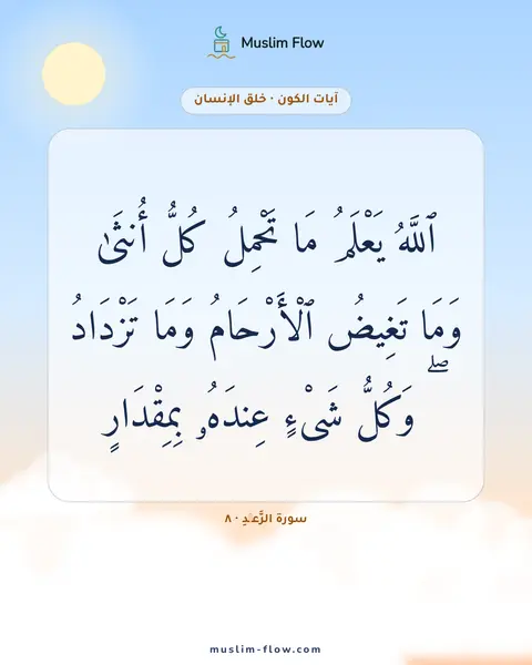 سورة الرَّعۡدِ · ٨: ٱللَّهُ يَعْلَمُ مَا تَحْمِلُ كُلُّ أُنثَىٰ وَمَا تَغِيضُ ٱلْأَرْحَامُ وَمَا تَزْدَادُ ۖ…