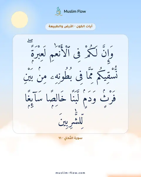 سورة النَّحۡلِ · ٦٦: وَإِنَّ لَكُمْ فِى ٱلْأَنْعَٰمِ لَعِبْرَةًۭ ۖ نُّسْقِيكُم مِّمَّا فِى بُطُونِهِۦ مِنۢ…