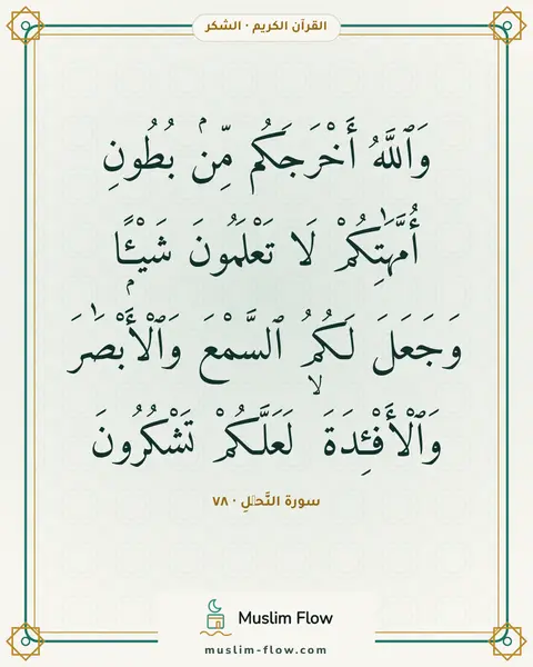 سورة النَّحۡلِ · ٧٨: وَٱللَّهُ أَخْرَجَكُم مِّنۢ بُطُونِ أُمَّهَٰتِكُمْ لَا تَعْلَمُونَ شَيْـًۭٔا وَجَعَلَ…