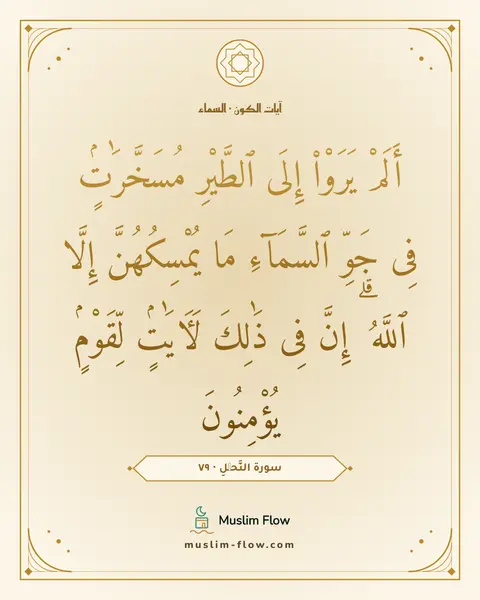 سورة النَّحۡلِ · ٧٩: أَلَمْ يَرَوْا۟ إِلَى ٱلطَّيْرِ مُسَخَّرَٰتٍۢ فِى جَوِّ ٱلسَّمَآءِ مَا يُمْسِكُهُنَّ…