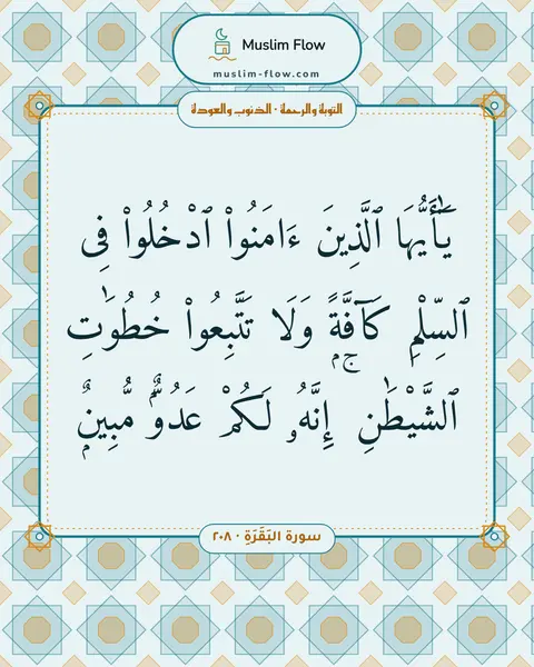 سورة البَقَرَةِ · ٢٠٨: يَٰٓأَيُّهَا ٱلَّذِينَ ءَامَنُوا۟ ٱدْخُلُوا۟ فِى ٱلسِّلْمِ كَآفَّةًۭ وَلَا تَتَّبِعُوا۟…