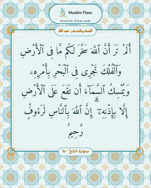 سورة الحَجِّ · ٦٥: أَلَمْ تَرَ أَنَّ ٱللَّهَ سَخَّرَ لَكُم مَّا فِى ٱلْأَرْضِ وَٱلْفُلْكَ تَجْرِى فِى…