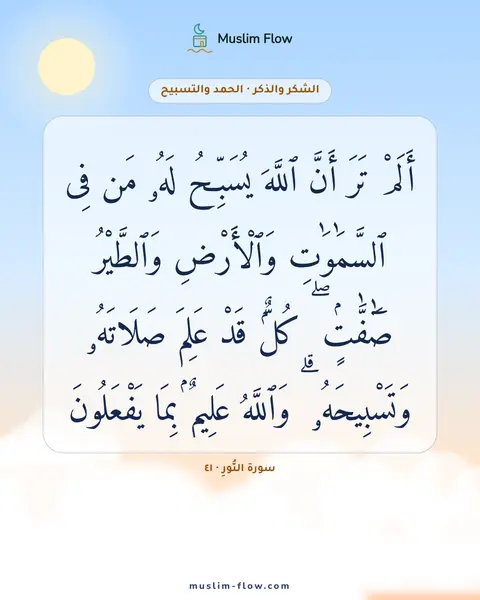 سورة النُّورِ · ٤١: أَلَمْ تَرَ أَنَّ ٱللَّهَ يُسَبِّحُ لَهُۥ مَن فِى ٱلسَّمَٰوَٰتِ وَٱلْأَرْضِ وَٱلطَّيْرُ…