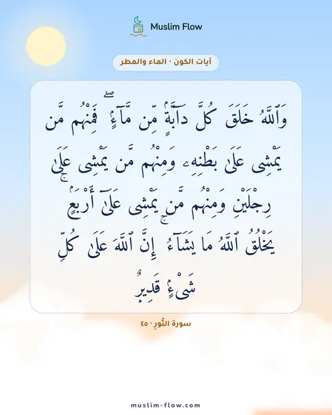 سورة النُّورِ · ٤٥: وَٱللَّهُ خَلَقَ كُلَّ دَآبَّةٍۢ مِّن مَّآءٍۢ ۖ فَمِنْهُم مَّن يَمْشِى عَلَىٰ بَطْنِهِۦ…