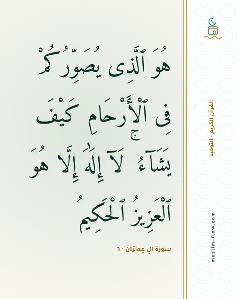 سورة آلِ عِمۡرَانَ · ٦: هُوَ ٱلَّذِى يُصَوِّرُكُمْ فِى ٱلْأَرْحَامِ كَيْفَ يَشَآءُ ۚ لَآ إِلَٰهَ إِلَّا هُوَ…