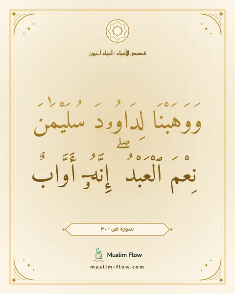 سورة صٓ · ٣٠: وَوَهَبْنَا لِدَاوُۥدَ سُلَيْمَٰنَ ۚ نِعْمَ ٱلْعَبْدُ ۖ إِنَّهُۥٓ أَوَّابٌ