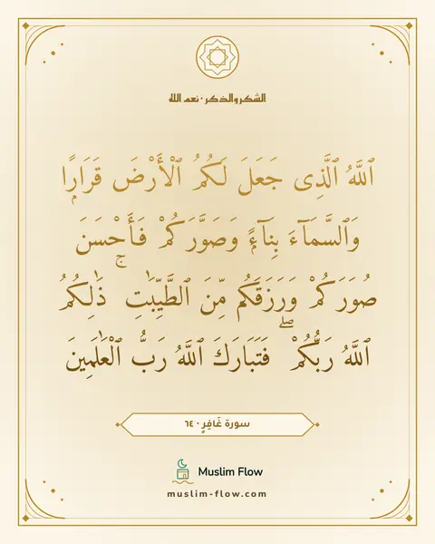 سورة غَافِرٍ · ٦٤: ٱللَّهُ ٱلَّذِى جَعَلَ لَكُمُ ٱلْأَرْضَ قَرَارًۭا وَٱلسَّمَآءَ بِنَآءًۭ وَصَوَّرَكُمْ…