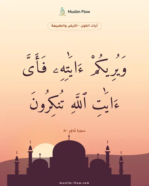 سورة غَافِرٍ · ٨١: وَيُرِيكُمْ ءَايَٰتِهِۦ فَأَىَّ ءَايَٰتِ ٱللَّهِ تُنكِرُونَ