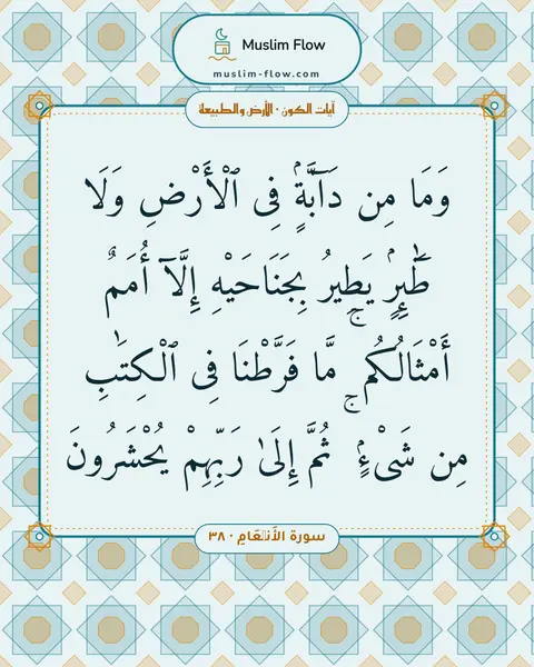 سورة الأَنۡعَامِ · ٣٨: وَمَا مِن دَآبَّةٍۢ فِى ٱلْأَرْضِ وَلَا طَٰٓئِرٍۢ يَطِيرُ بِجَنَاحَيْهِ إِلَّآ أُمَمٌ…