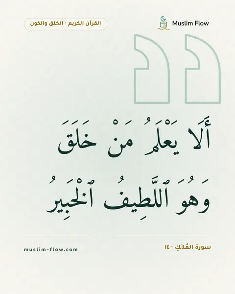 سورة المُلۡكِ · ١٤: أَلَا يَعْلَمُ مَنْ خَلَقَ وَهُوَ ٱللَّطِيفُ ٱلْخَبِيرُ