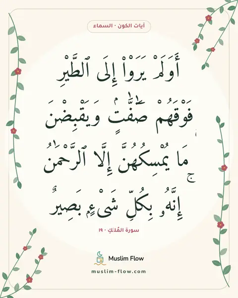 سورة المُلۡكِ · ١٩: أَوَلَمْ يَرَوْا۟ إِلَى ٱلطَّيْرِ فَوْقَهُمْ صَٰٓفَّٰتٍۢ وَيَقْبِضْنَ ۚ مَا يُمْسِكُهُنَّ…
