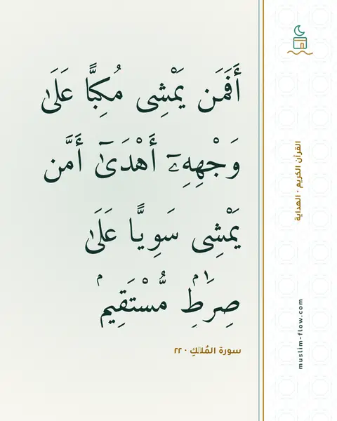 سورة المُلۡكِ · ٢٢: أَفَمَن يَمْشِى مُكِبًّا عَلَىٰ وَجْهِهِۦٓ أَهْدَىٰٓ أَمَّن يَمْشِى سَوِيًّا عَلَىٰ…