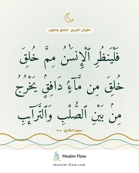 سورة الطَّارِقِ · ٥–٧: فَلْيَنظُرِ ٱلْإِنسَٰنُ مِمَّ خُلِقَ خُلِقَ مِن مَّآءٍۢ دَافِقٍۢ يَخْرُجُ مِنۢ بَيْنِ…